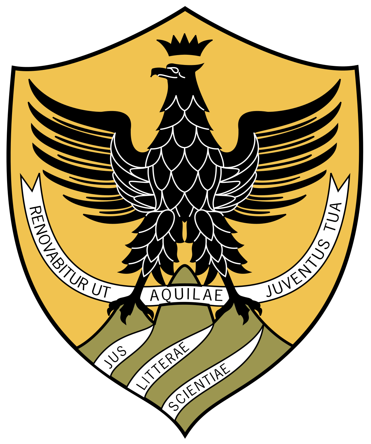 University of L'Aquila